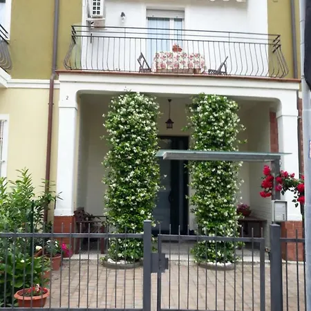 Edera Rimini